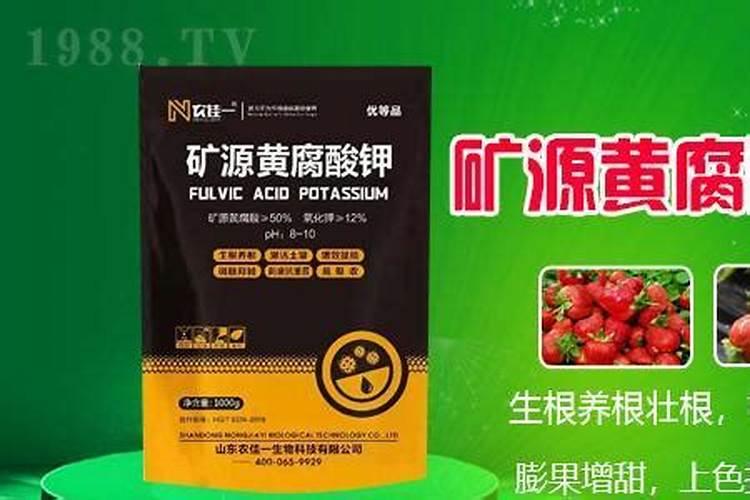 黄腐酸钾夏天能浇花吗