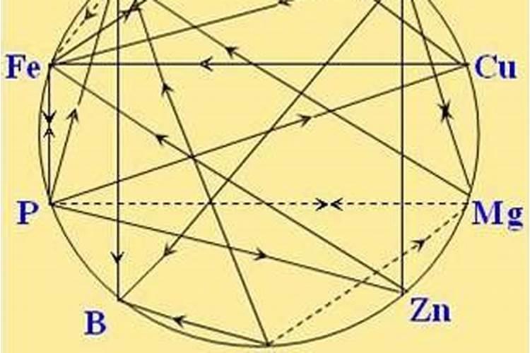 钾肥与镁肥存在拮抗作用吗为什么？