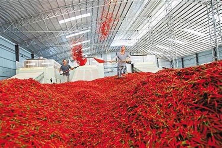 辣椒第一次施氮肥每亩用多少克？