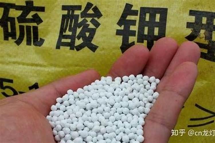 化肥有没有保质期？