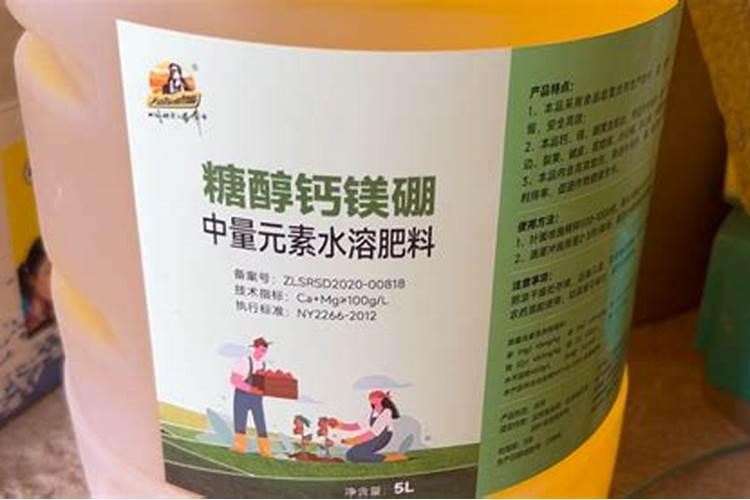 什么样的钙肥容易吸收呢？