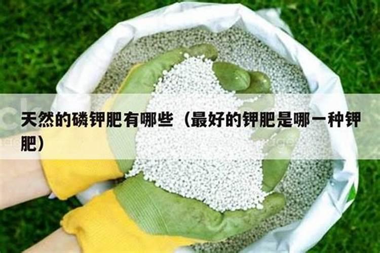 什么是磷肥 天然的磷钾肥有哪些