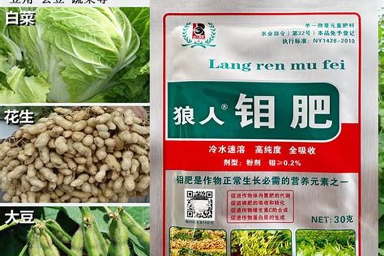 豆角什么时期用钼肥？