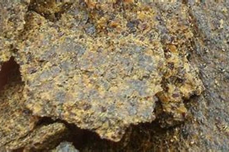 菜籽饼怎么发酵肥水