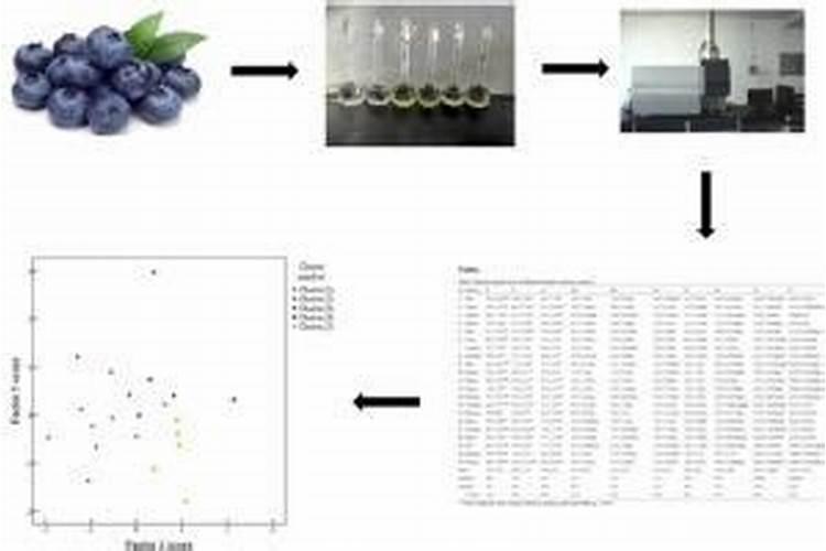 蓝莓不同时期元素需求表