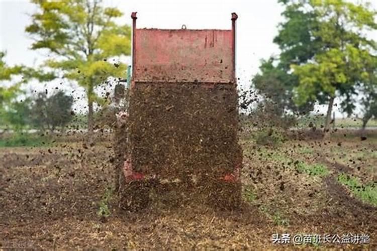 苗圃土壤追肥的方法有