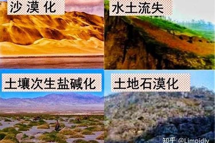 土壤退化类型及防治