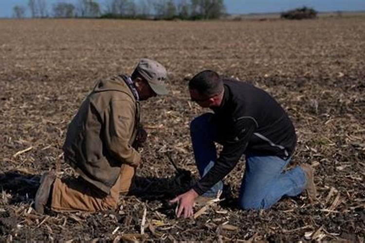 美国农业,可能还离不开俄罗斯