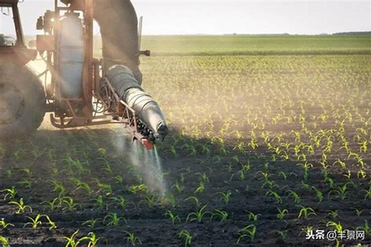 农民给庄稼灌过施肥为什么不直接施在精荷叶上而且是在土壤里？