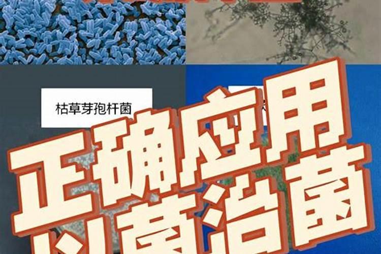 哈茨木霉菌能和高钾水溶肥混配一灌根吗？