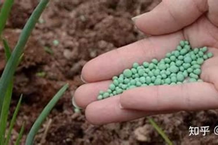 氮肥能和复合肥混合用吗为什么？