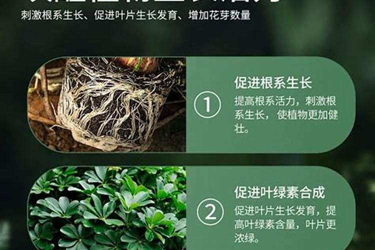 多肉氮磷钾烟草复合肥可以一起用吗