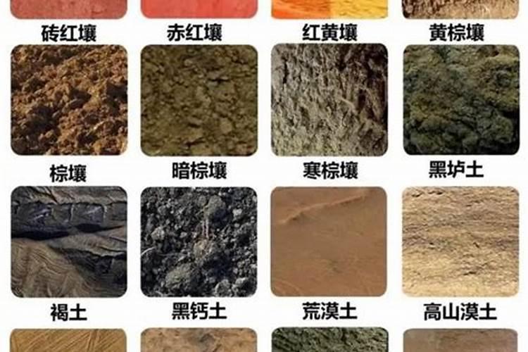 土的分类主要有哪些(鉴定土壤的简单方法)