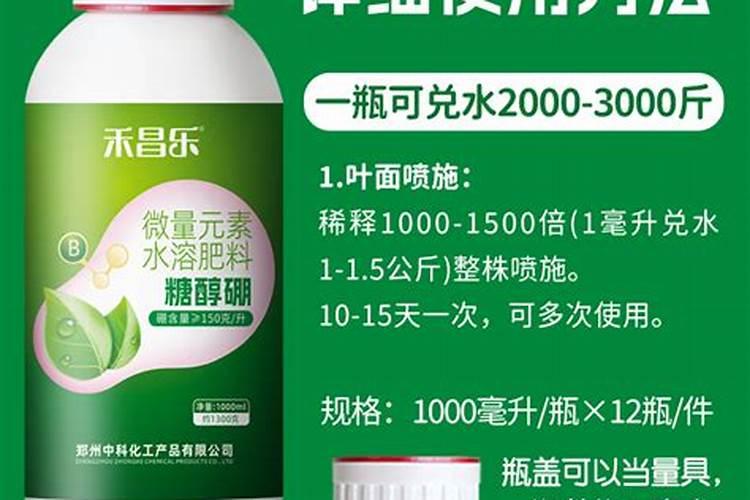 金弹子如何用流体硼肥料施肥？