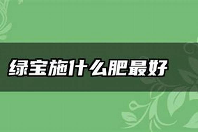 绿宝多长时间施一次肥？
