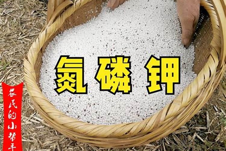 磷肥可以做底肥吗