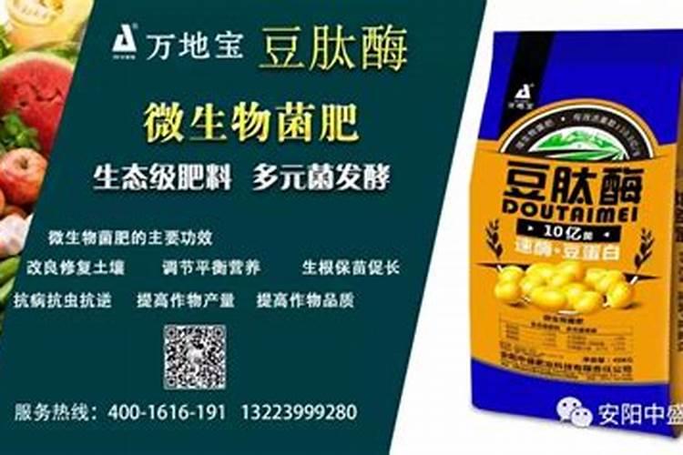 排名前十的微生物菌肥