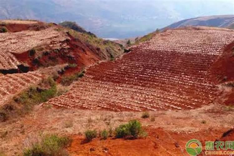 红土有什么优点？