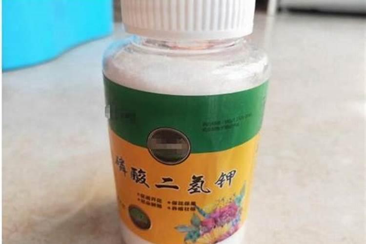 磷酸二氢钾可以灌根吗