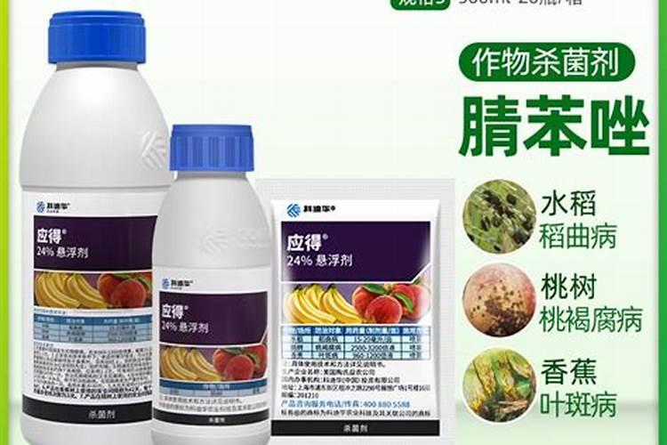 褐腐病用什么杀菌剂好？