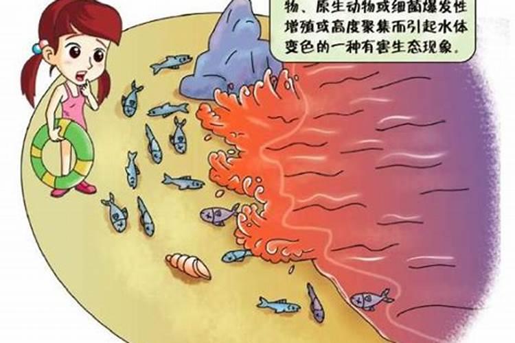 钾肥会引起海水富营养化吗为什么？