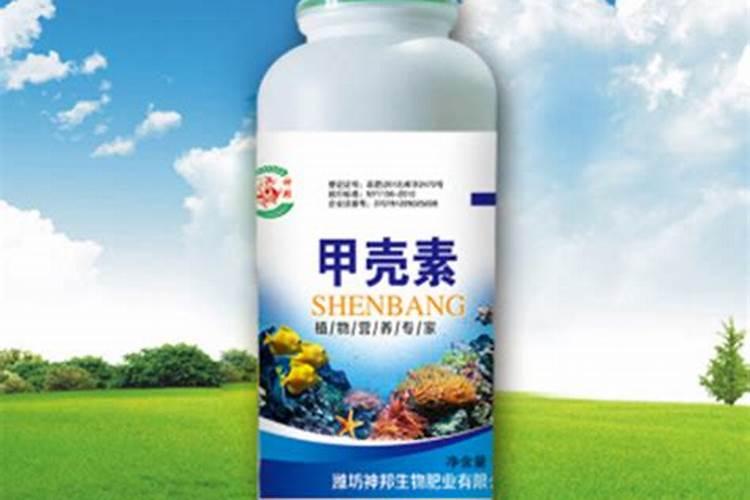 甲壳素叶面肥能防止红枣缩果病