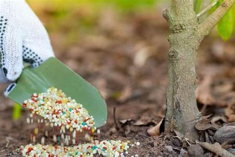 钙肥和哪些农药不能混用