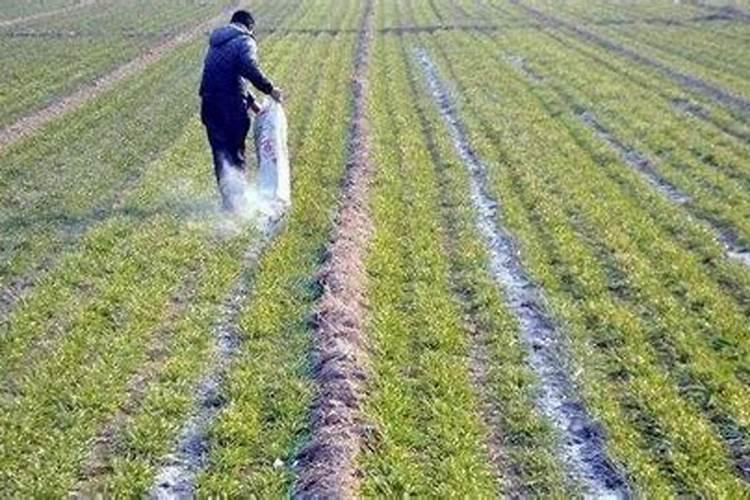 白灰和化肥能一块放吗？