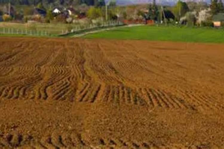 怎么让麦茬土地变得松软