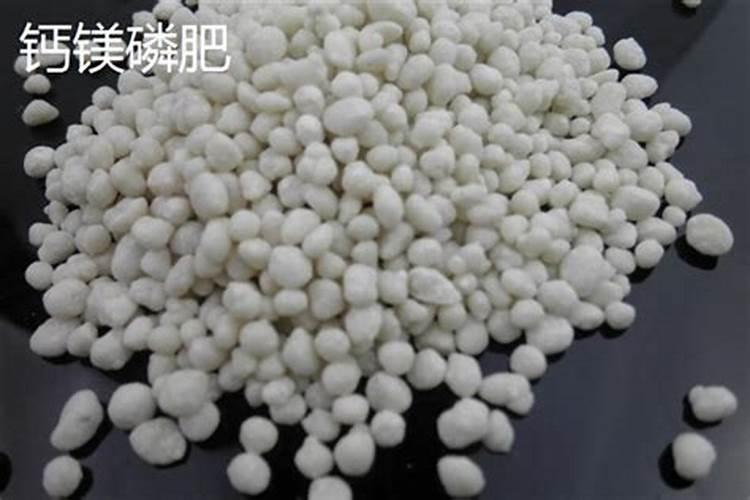 磷酸二铵和钙肥一起用行吗