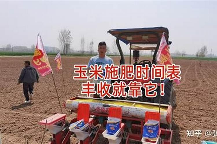 玉米施肥的最佳时间是？