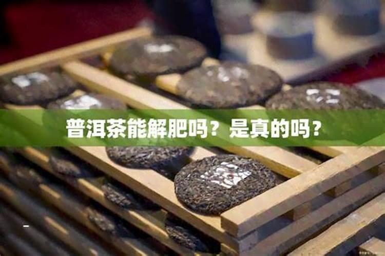 普洱茶可以施钙肥吗