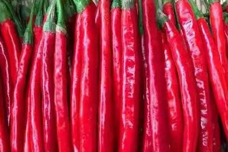 辣椒移栽前几天应该喷什么药杀菌防病