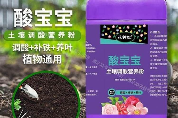 养花土壤调酸最好方法  腐植酸能调偏酸土壤吗