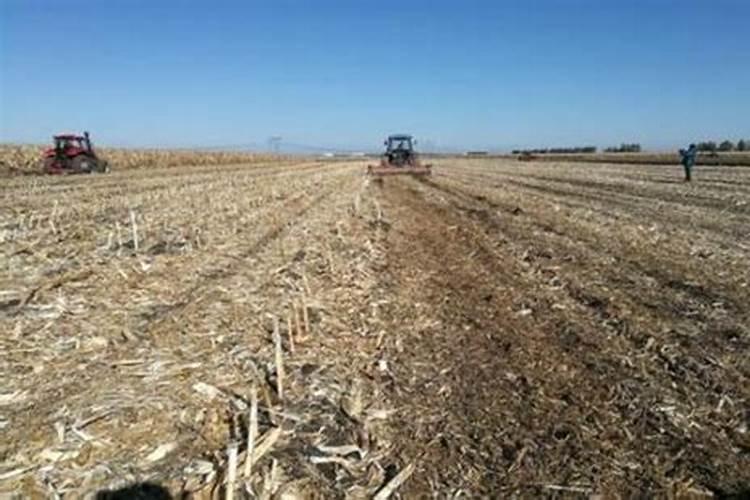 秸秆还田每亩耗多少斤氮肥