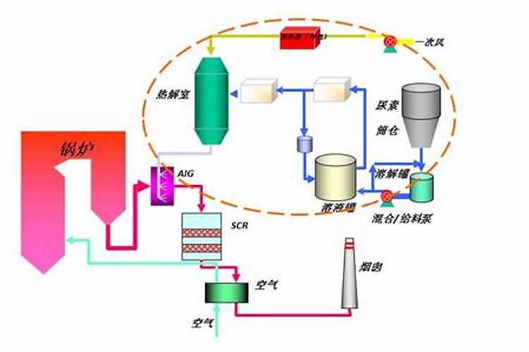 喷施尿素需要转换氨基酸吗