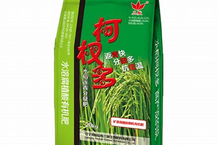 水稻柯杈多是什么肥