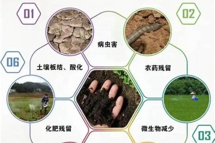 如何改良土壤肥力的方法？