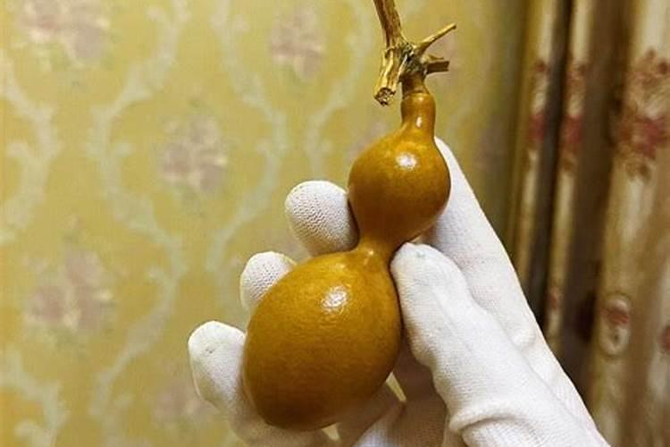 文玩葫芦苗上什么肥料？