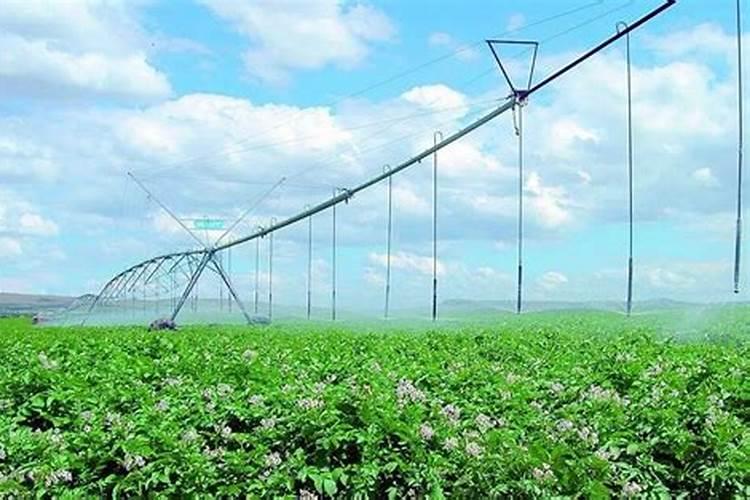 水溶肥凭什么能占据市场的重要地位？