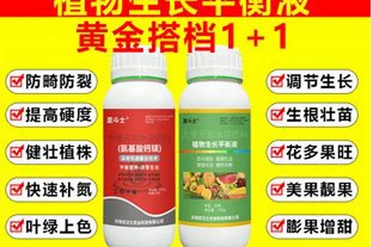 氨基酸水溶肥最佳搭档