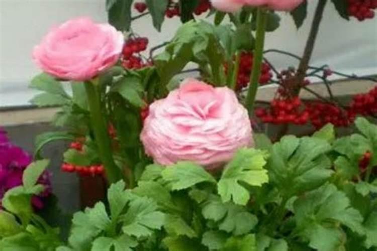 芹叶牡丹施什么肥好？