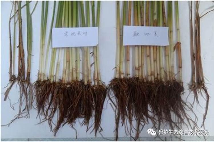 请问老师们融地美是干什么用的,那有卖的