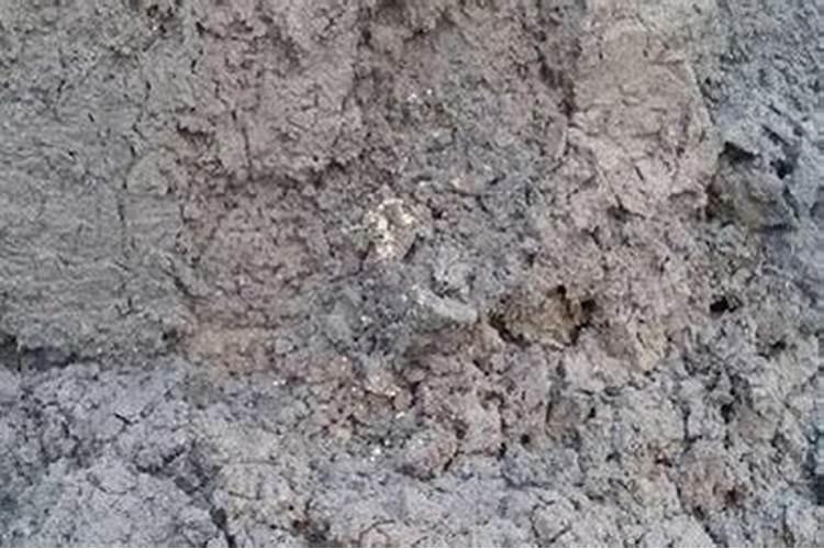 稻壳灰可以做肥料吗