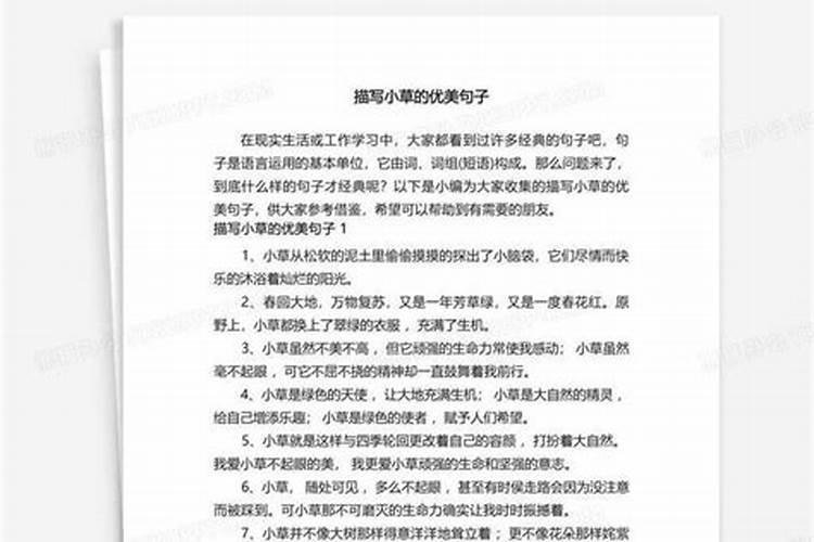 小草的描写优美句子