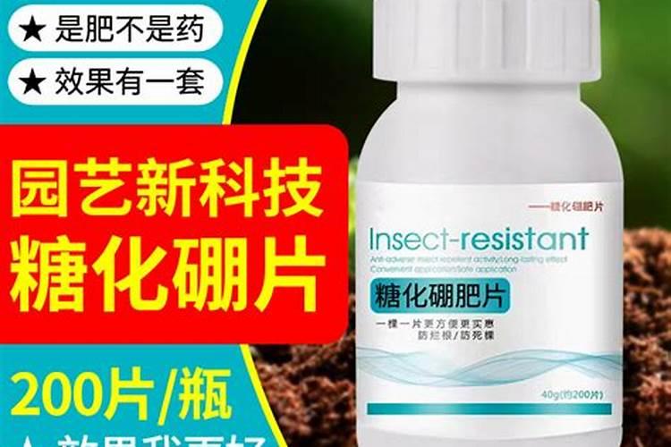 糖化硼肥片适用于水养植物吗？