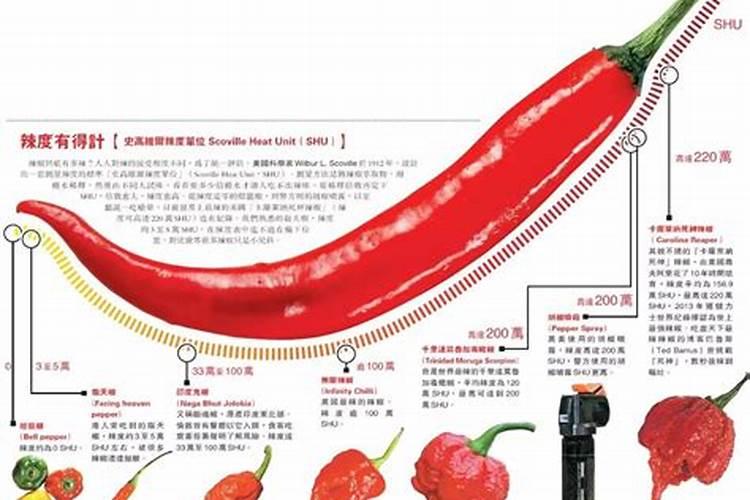 辣椒辣度与肥料使用