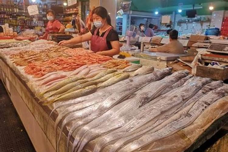 卖鱼蛋白的技巧和方法有哪些呢？