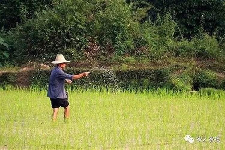 氨基酸氮肥肥效期多长时间一次？