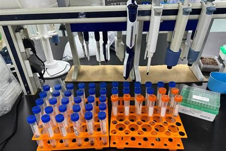 如何简单鉴定腐殖酸含量？